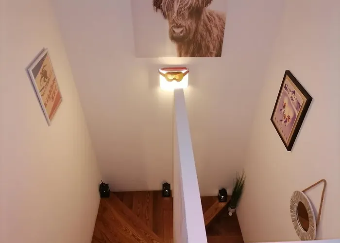 Salt&pepper Apartament *